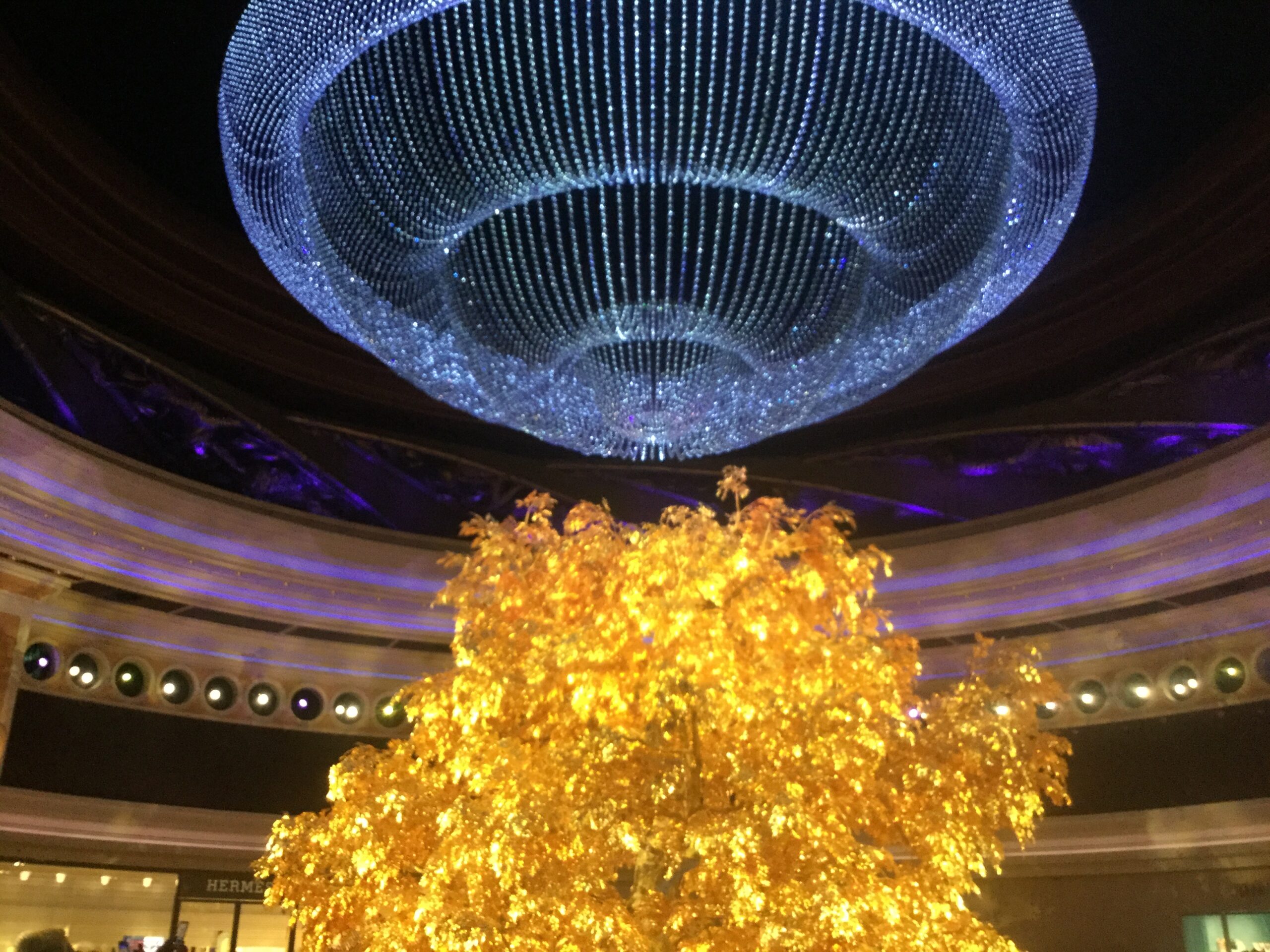 EatPrayGreg.com gold tree crystal chandelier