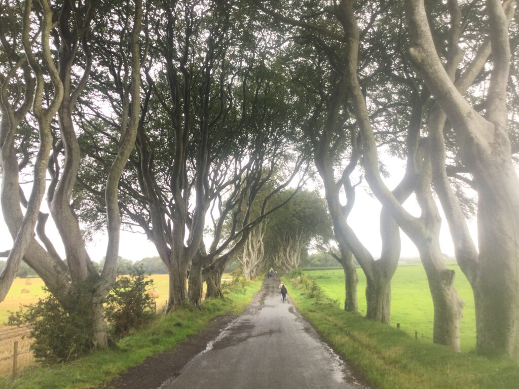 EatPrayGreg.com Dark Hedges